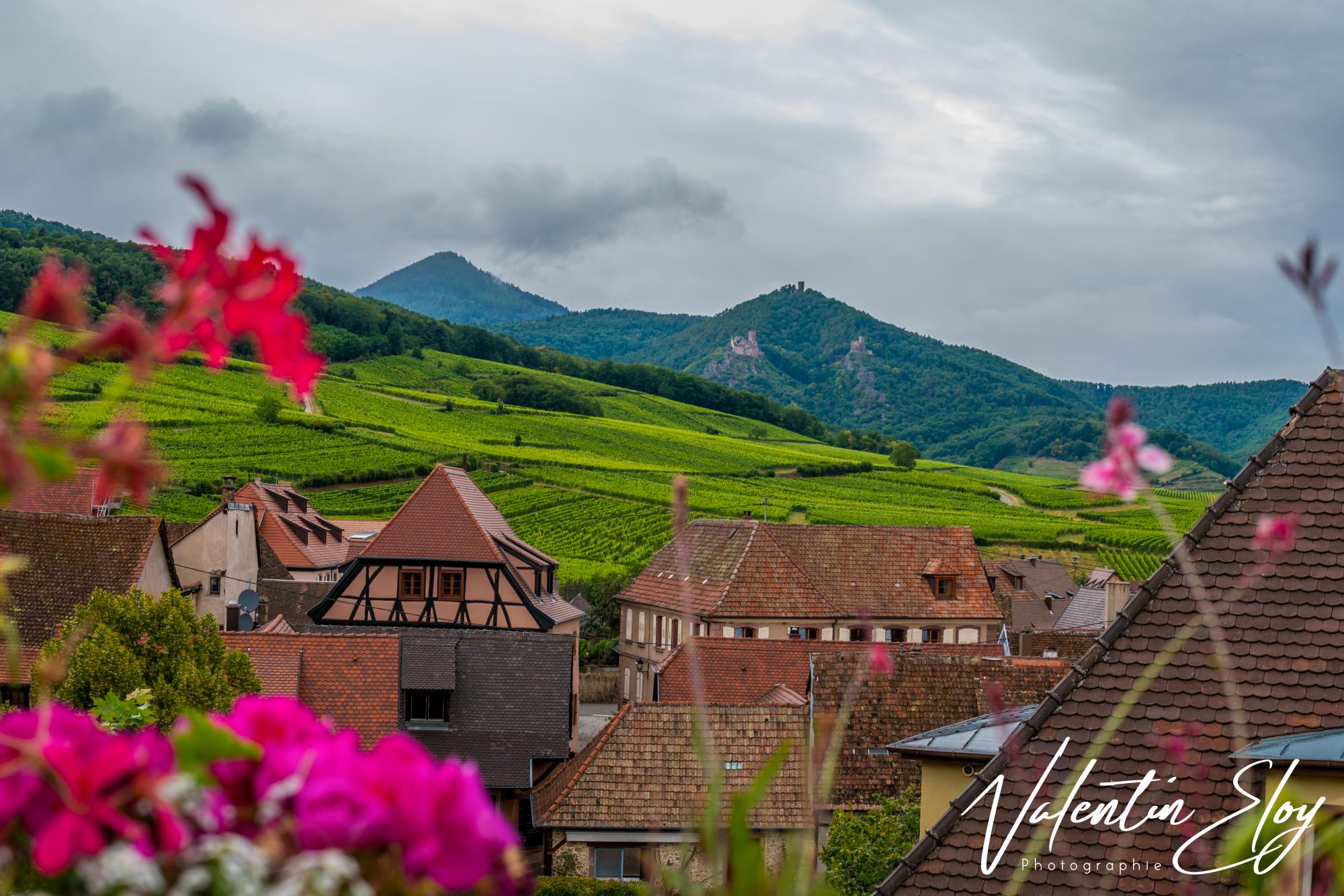 Eguisheim