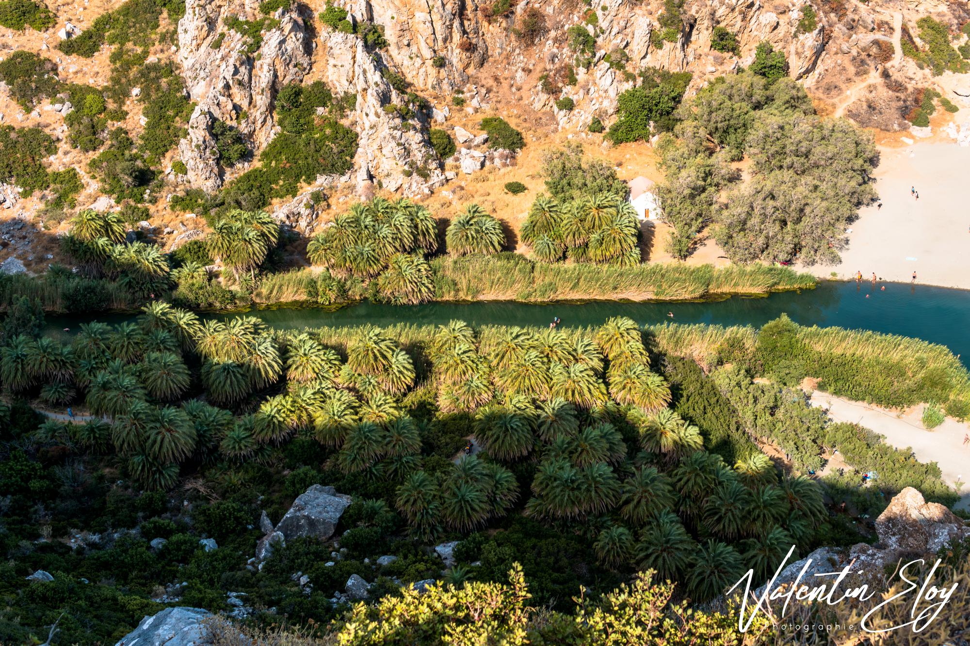 Palmiers Preveli